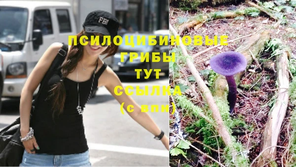MESCALINE Горняк