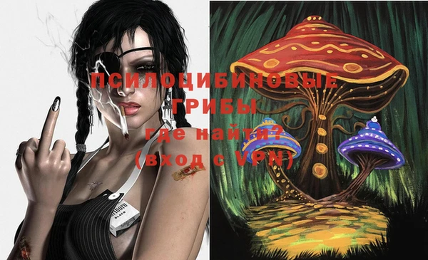 дмт Билибино
